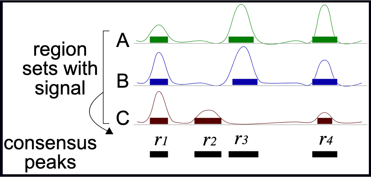 ChIP-seq_analysis_part1 – 2025 MBMM